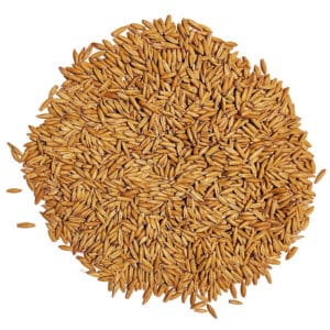 dingemans-oat-malt-md